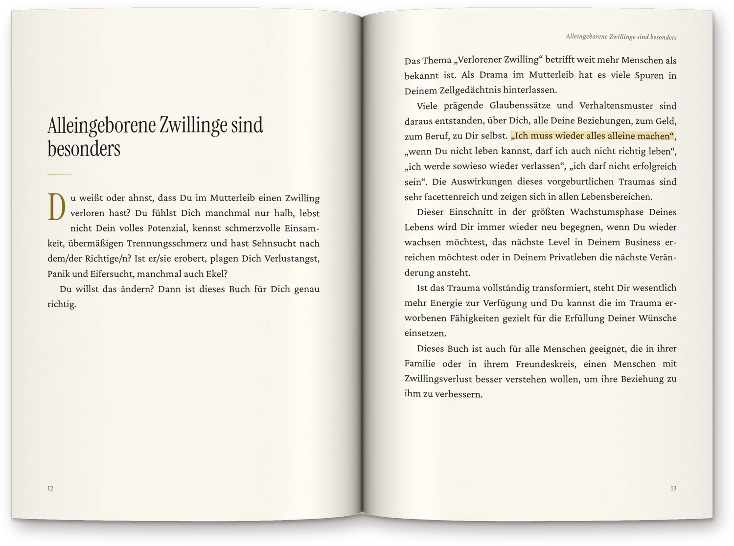 Aufgeschlagenes Taschenbuch Trauma-Heilung Verlorener Zwilling